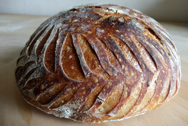 Homemade Sourdough